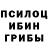 Галлюциногенные грибы Magic Shrooms Kratos_Games2008