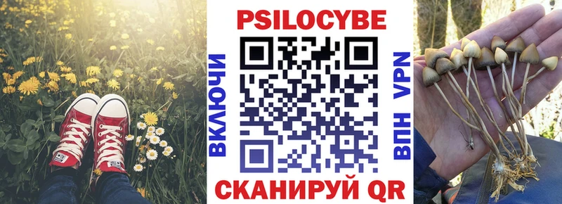 Галлюциногенные грибы GOLDEN TEACHER  Хабаровск 
